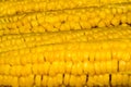Corn Cob Macro Royalty Free Stock Photo