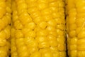 Corn Cob Macro Royalty Free Stock Photo