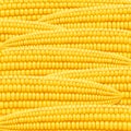 Corn cob. Organic food pattern. Royalty Free Stock Photo