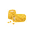 A corn cob parts group with seeds. Cartoon trendy style. Maize. Bright ripe vegetable. Vector illustration isolated on white Royalty Free Stock Photo