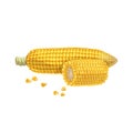 A corn cob with quarter of cob and seeds. Cartoon trendy style. Maize. Bright ripe vegetable. Vector illustration isolated on whit Royalty Free Stock Photo