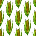 Corn cob seamless pattern. Hand drawn vector background. Detailed vegetarian food drawing. Royalty Free Stock Photo