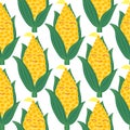 Corn cob Seamless pattern. Royalty Free Stock Photo