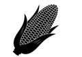 Corn cob silhouette Royalty Free Stock Photo
