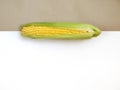 Corn on cob