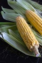 Corn Cob / Sweet Corn - With Husk