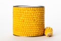 Corn on the cob and corn in a tin can isolated on a white background. Conservation concept Royalty Free Stock Photo