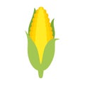 Corn cob vector clipart cartoon. Corn cob with leaves. Royalty Free Stock Photo