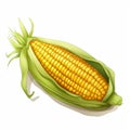 Realistic Vector Illustration Of Corn Stem On White Background