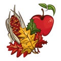 Corn cob vegetable and apple with leafs thanksgiving Royalty Free Stock Photo