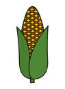 corn cob vegetable icon Royalty Free Stock Photo