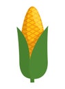 corn cob vegetable icon Royalty Free Stock Photo