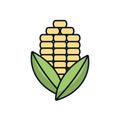 Corn cob vegetable isolated icon Royalty Free Stock Photo
