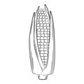 Corn on the cob. A vegetable in a linear style, drawn by hand. Food ingredient, design element.Lineart. Black and white vector Royalty Free Stock Photo