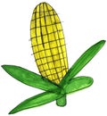 Corn on the Cob Whimsical Illustration