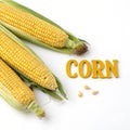 Corn on the cob and the word corn isolated on white background Royalty Free Stock Photo