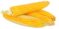 Corn on the Cobs