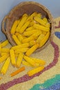 Corn Cobs Basket Royalty Free Stock Photo