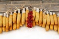 Corn cobs and chillies, China Royalty Free Stock Photo