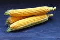 Corn cobs on dark wooden background Royalty Free Stock Photo