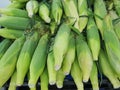 Corn on sale Royalty Free Stock Photo