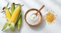 Corn cobs, dry kernels, and pure white cornstarch for cooking Royalty Free Stock Photo