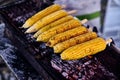 Corn cobs on the grill. Close up image with corns Royalty Free Stock Photo