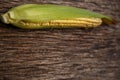 Corn cobs lie on a wooden table. Ripe corn lies on a textured old table. Royalty Free Stock Photo