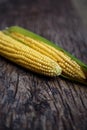 Corn cobs lie on a wooden table. Ripe corn lies on a textured old table. Royalty Free Stock Photo