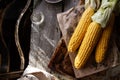 Corn cobs on an old wooden table Royalty Free Stock Photo