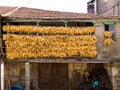 Corn cobs to dry in a traditional balcony Royalty Free Stock Photo