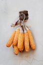 Corn cobs on the wall, China Royalty Free Stock Photo