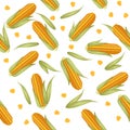 Corn combs with lettuce leaves seamless pattern flat vector illustration on white background