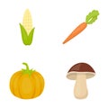 Corn corn, vitamin carrots with tops, pumpkin, forest mushroom. Vegetables set collection icons in cartoon style vector Royalty Free Stock Photo