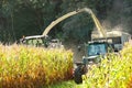 Corn crop being brought in