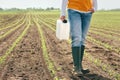 Corn crop protection concept, female farmer agronomist holding jerry can container canister with pesticide