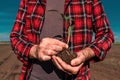 Corn crop sprout in male farmer`s hands