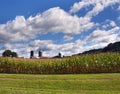 Corn Crop in Tennessee Royalty Free Stock Photo