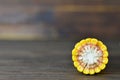 Corn cross section on wooden background