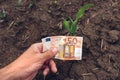 Corn cultivation investment concept, investing in maize farming. Male hand with euro banknote