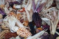 Corn dried decoratively with earthy colours