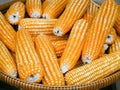 Corn dried gourd selling at the farm.