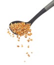 Corn dried seed grain fly in ladle cook. Yellow Golden corn seed falling scatter, explosion float in shape form line group. White Royalty Free Stock Photo