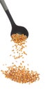 Corn dried seed grain fly in ladle cook. Yellow Golden corn seed falling scatter, explosion float in shape form line group. White Royalty Free Stock Photo