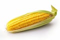 Corn, ear corn, corn cob, maize, food and meal, illustration. Generative AI Royalty Free Stock Photo