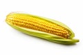 Corn, ear corn, corn cob, maize, food and meal, illustration. Generative AI Royalty Free Stock Photo