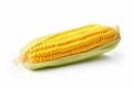 Corn, ear corn, corn cob, maize, food and meal, illustration. Generative AI Royalty Free Stock Photo