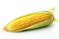 Corn, ear corn, corn cob, maize, food and meal, illustration. Generative AI Royalty Free Stock Photo