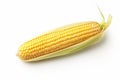 Corn, ear corn, corn cob, maize, food and meal, illustration. Generative AI Royalty Free Stock Photo