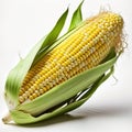 corn ear isolated on a white background. Generative AI Royalty Free Stock Photo